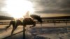 IMG_1208-12-12-16-12-33.jpeg