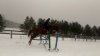 IMG_1209-12-12-16-12-33.jpeg