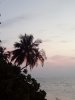IMG_20180108_182501.jpg