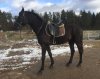 IMG-20180124-WA0000.jpg