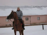 x_d48b8f79[1].webp