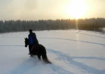DSCN8957.webp