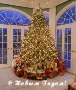 holiday15.webp