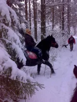 050120101973.webp