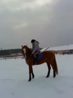 x_af876891[1].webp