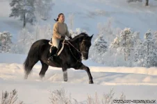 x_e6c808d4.webp