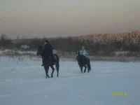 сф2.webp