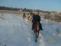 сф5.webp