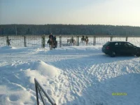 сф9.webp