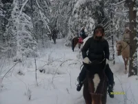 сф8.webp
