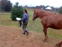 280820091382.webp