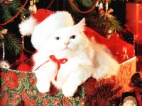 с новым годом.webp