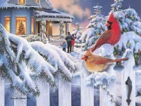 222.webp