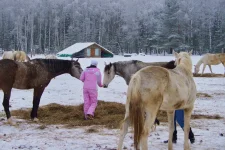 09.webp