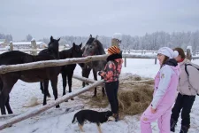 34.webp