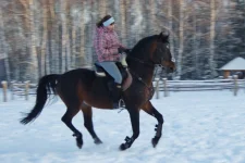 005.webp