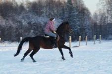 006.webp