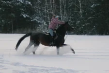 009.webp