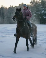 010.webp