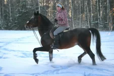 011.webp