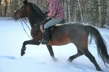 012.webp