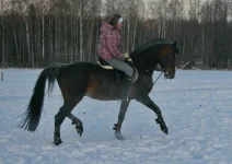 019.webp