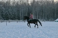 020.webp
