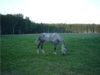 Увлекательная.webp