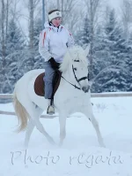 тамань7.webp