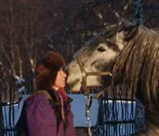 М1.webp