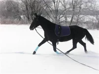 18a1f76fb129[1].webp