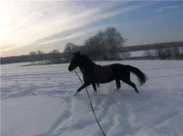 823c9cc4d675[1].webp
