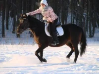 копия.webp