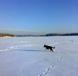 озеро.webp
