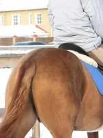 x_dcecb7b9[1].webp