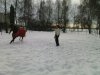 DSC02358.JPG