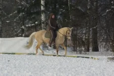 IMGP3406.webp