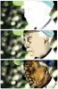 x_dad7692b.jpg