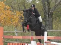 Resize of Resize of vfvfq0000.webp