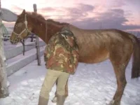 kobyla_novaya_fotka1.webp