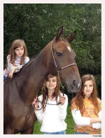 Джанга (2).webp
