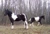 Магнолия-и-Магия-03.2007_1.jpg