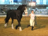 x_0933d5ce.webp