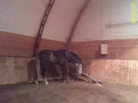 DC100207035.webp