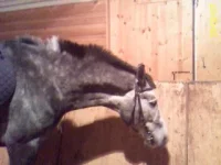 DC100207045.webp