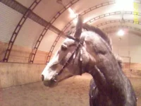 DC100207057.webp