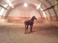 DC100207059.webp