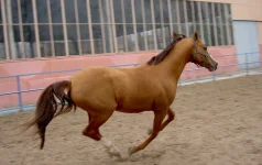 a_8b1411.webp