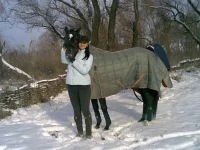 30122008(006).webp