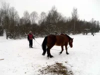 SAM_0339.webp